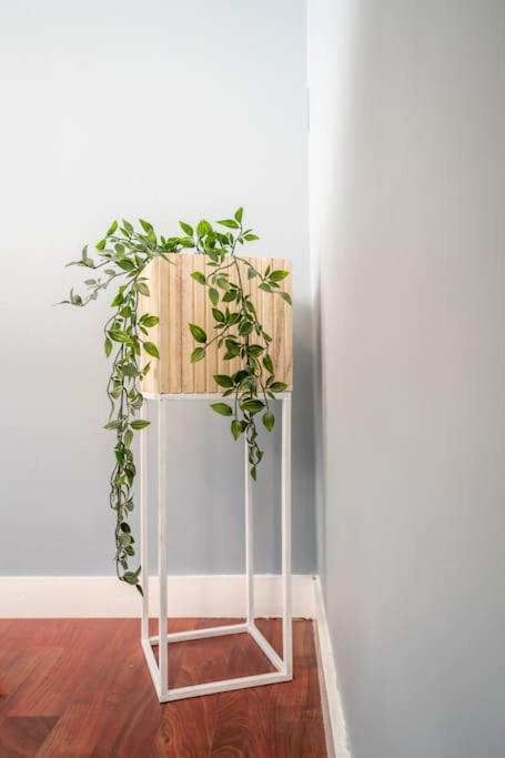 The Green House Of Stavanger Bnb 14 -Central, Sauna And Airport Shuttle Екстериор снимка